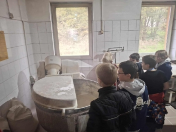 eba61870-d911-4156-83c8-041ffaff5779