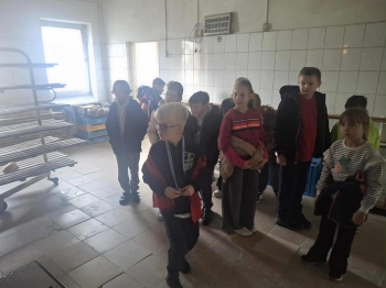 16ee4e31-10be-49f4-8158-224d919063b2