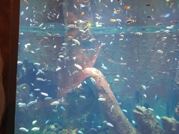 7c60d3cc-43f3-4b4d-a4d0-850304ae42a1