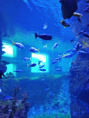 05b430fa-1ed8-446b-a25e-6092d7e57add