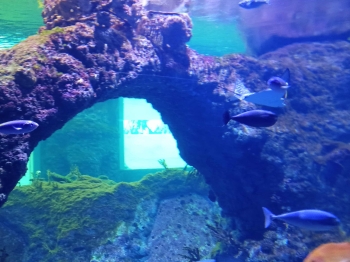 9745298c-430b-4e7a-940a-fe47e4599f74