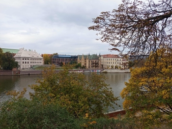 bf443954-4e31-49f9-9b26-afbf78eefaf7