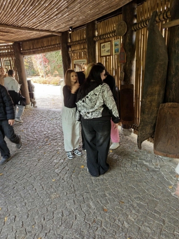 c99d6bae-ed94-4b75-8890-fdcbbea0e61c