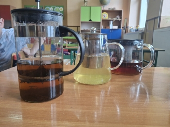 91c89f36-0831-4deb-bc89-24a62afabea6