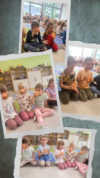 20251024_165701-COLLAGE