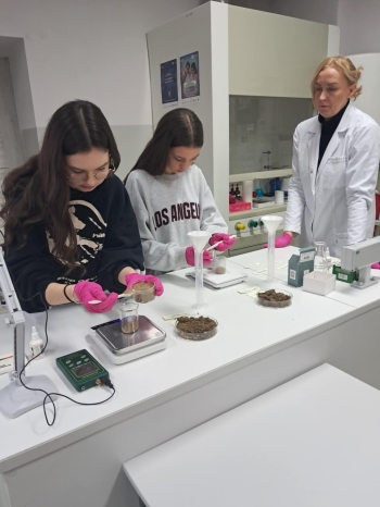 d29ce7c8-88cd-41c9-bc9f-ff162a935ff1