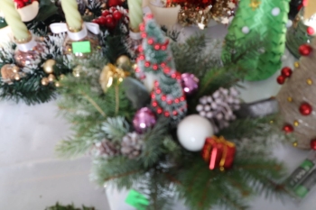 IMG_2586_Easy-Resize.com