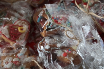 IMG_2606_Easy-Resize.com