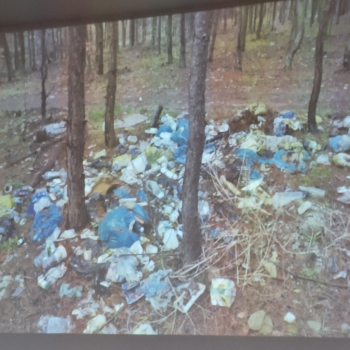 15bbe3e6-8f8a-4211-b9e0-b49c8f3e52de