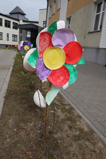 IMG_2768_Easy-Resize.com